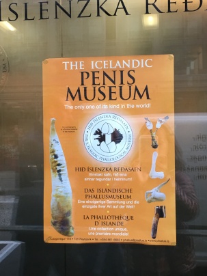 The Icelandic Phallological Museum (aka Penis Museum) is right in front of Hlemmur Square.